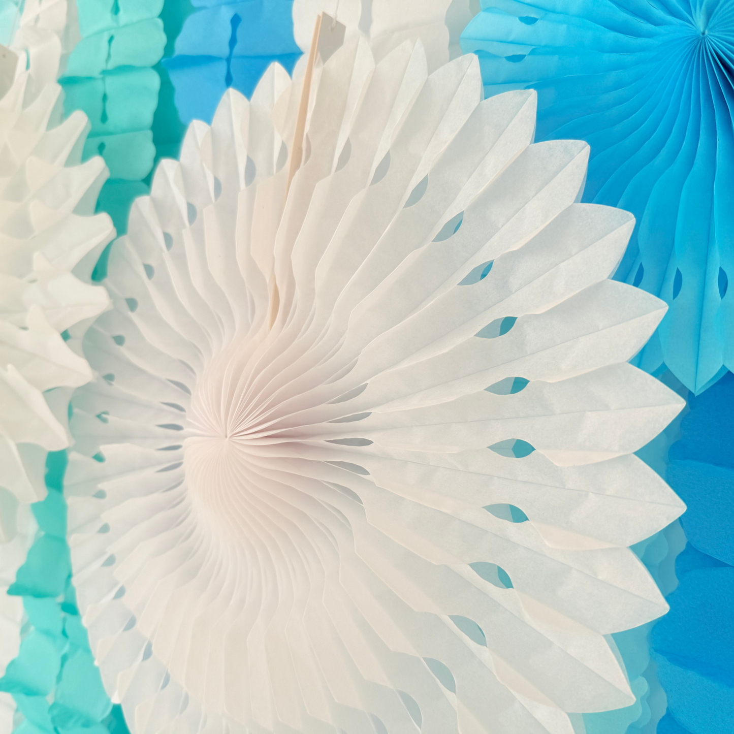 Blue white ice frozen style paper honey comb flower garland and fan decoration display