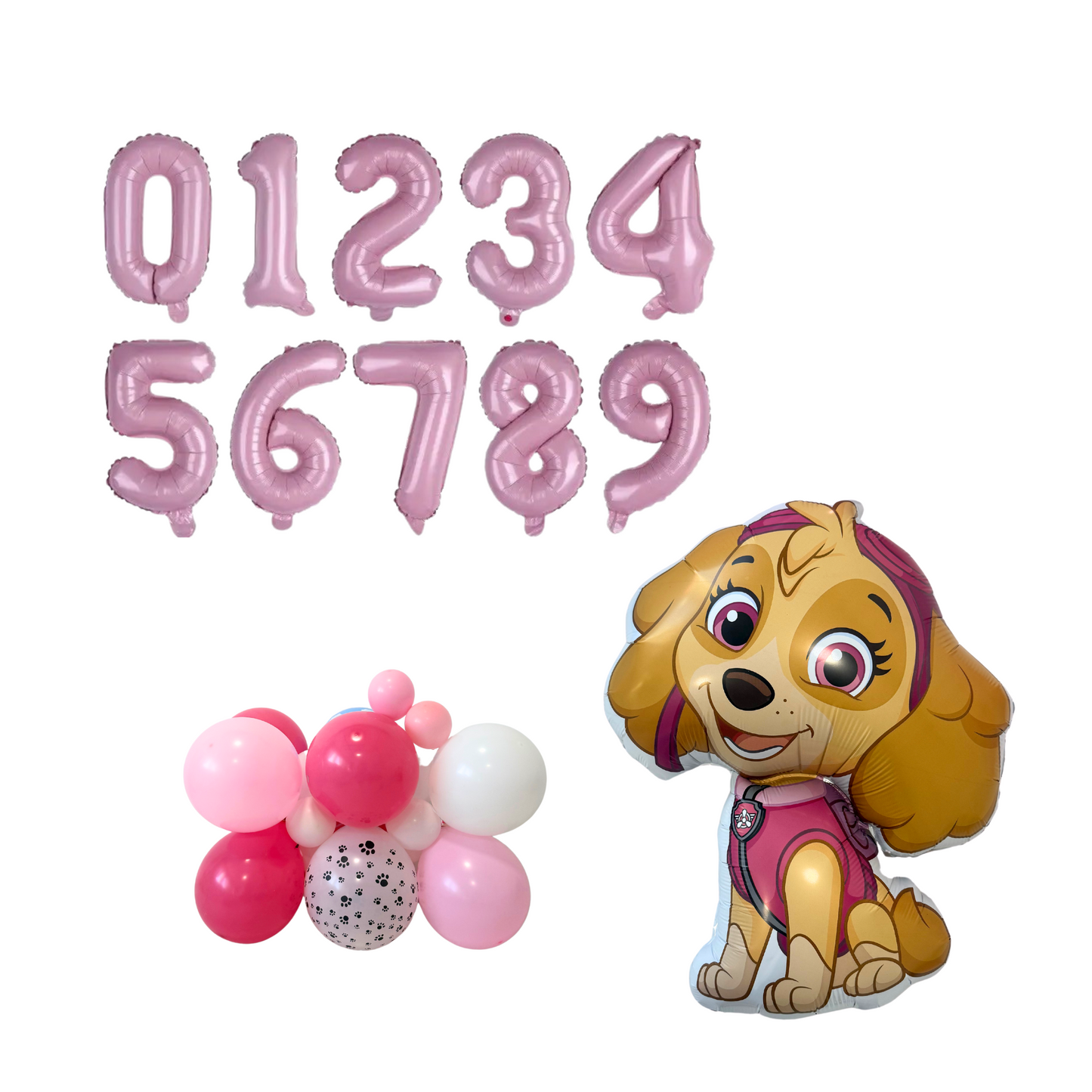 Personalised PAW patrol Sky birthday balloon bouquet sculpture kids boys girls birthday