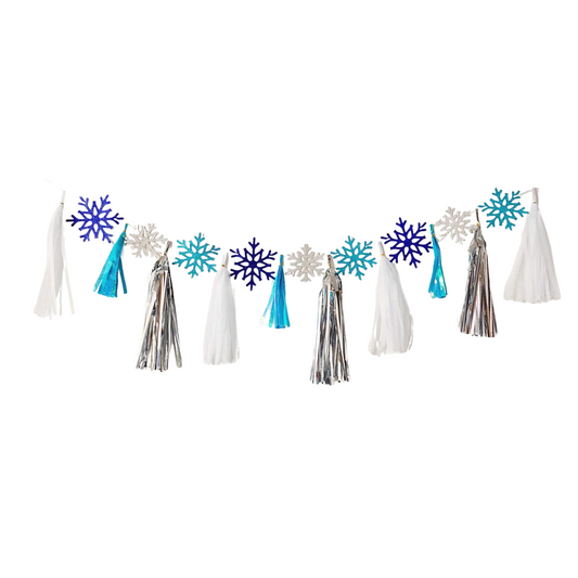 Winter Christmas Frozen princesses blue white snowflakes tissue tassel garland