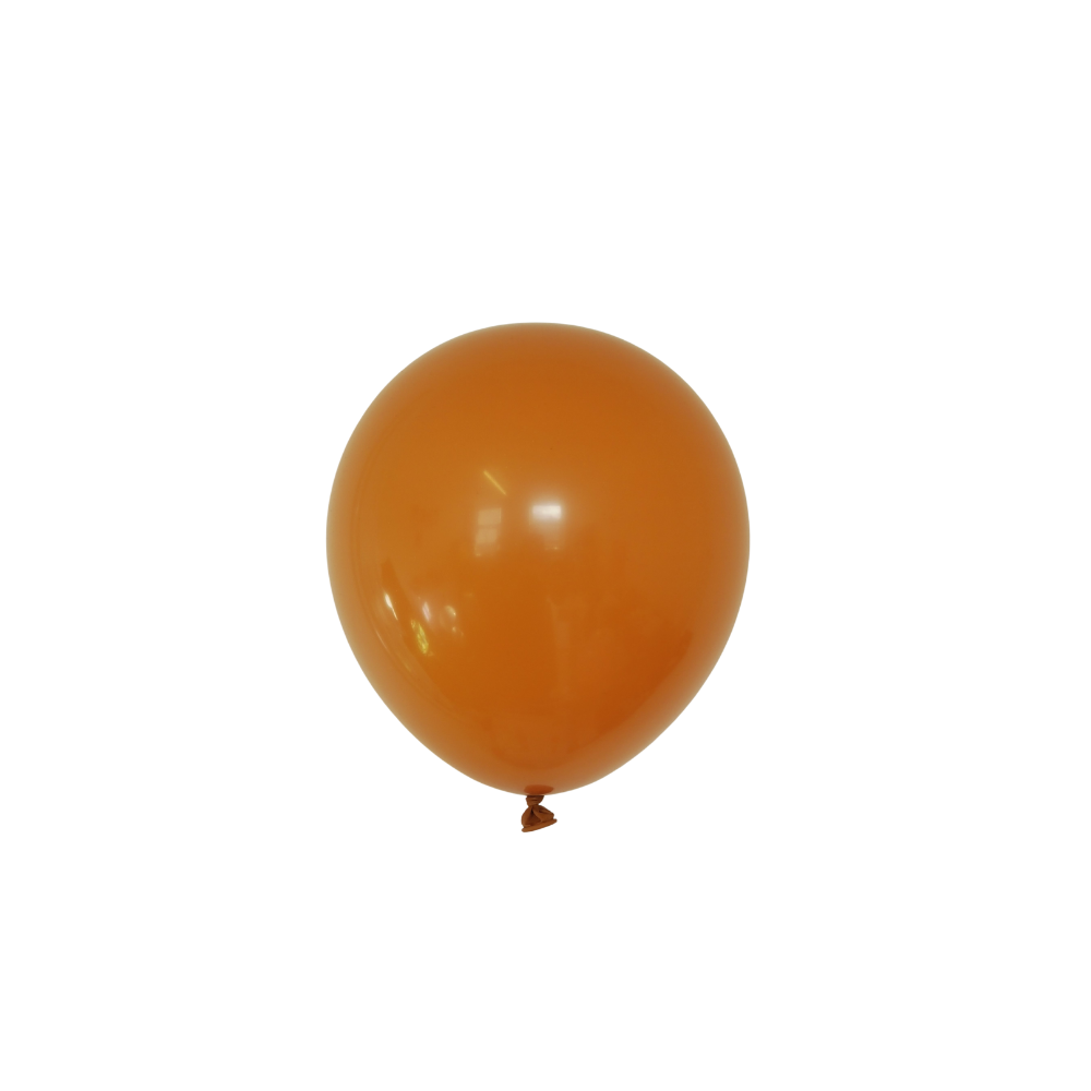 10inch Vintage Latex Balloon 10-pack