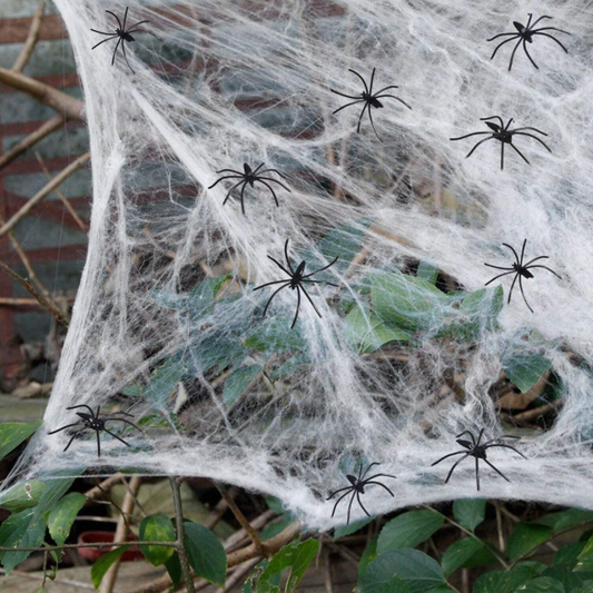 Halloween spiders and cotton web decoration